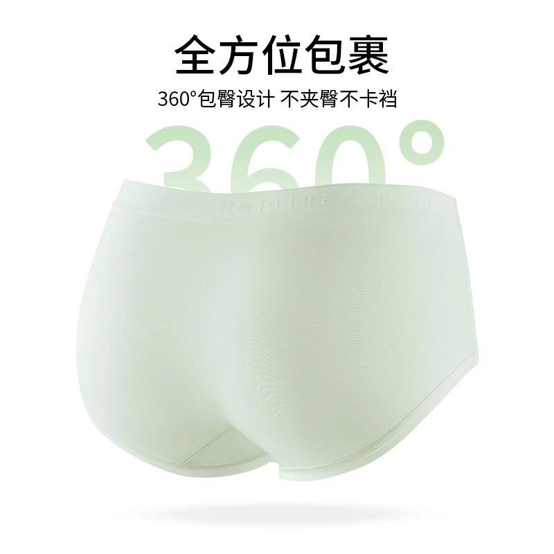 Rich Dragon 10A
