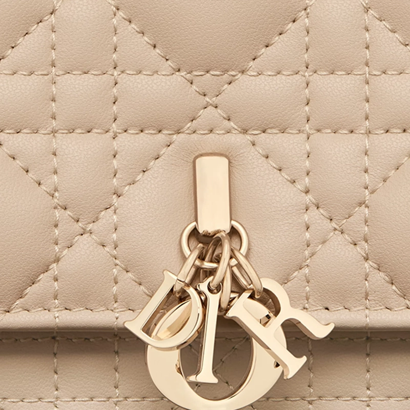 DIOR D.I.O.R.
