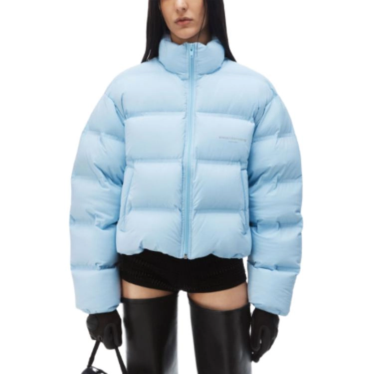 alexander wang FW24 logo