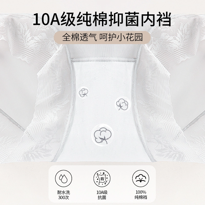Rich Dragon 10A