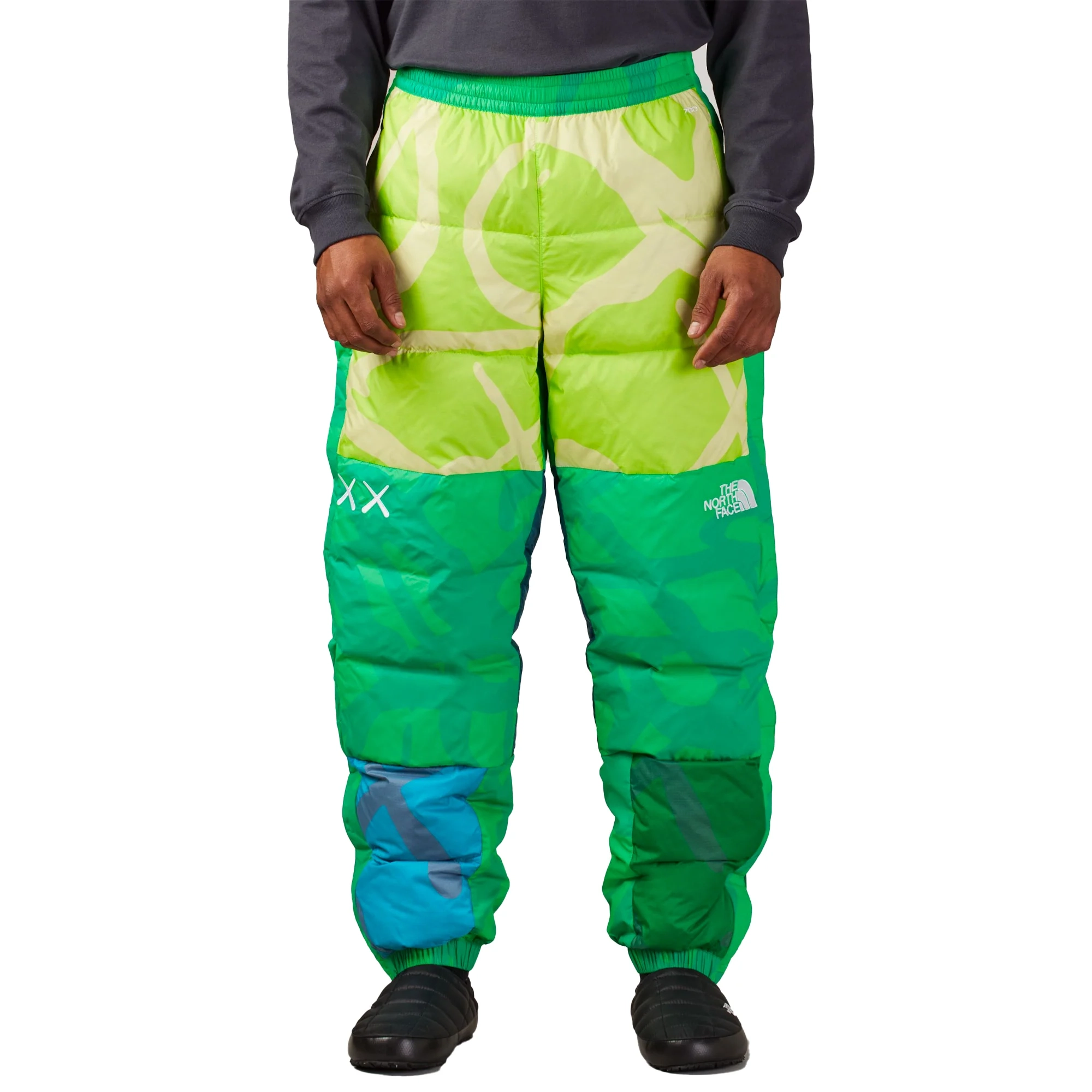 THE NORTH FACE x KAWS