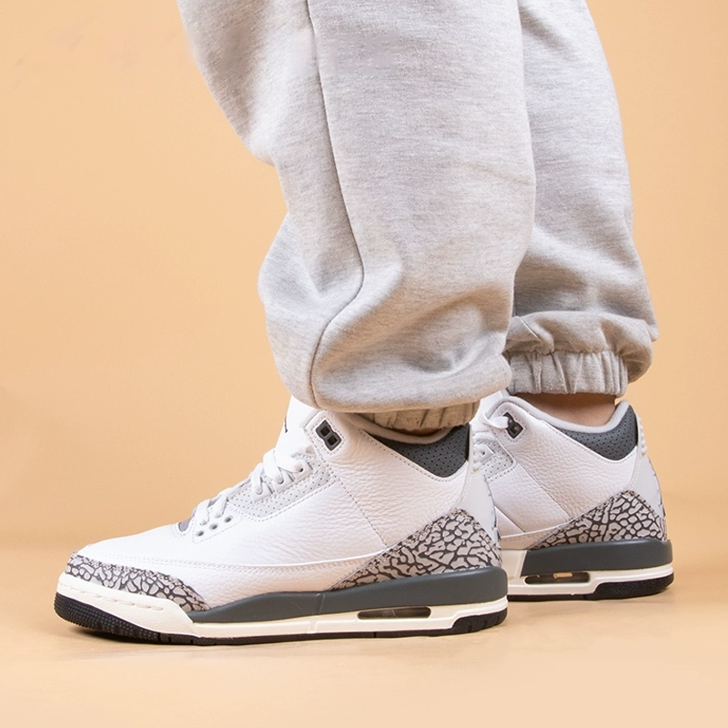 Jordan Air Jordan 3 Retro Hide N Sneak GS