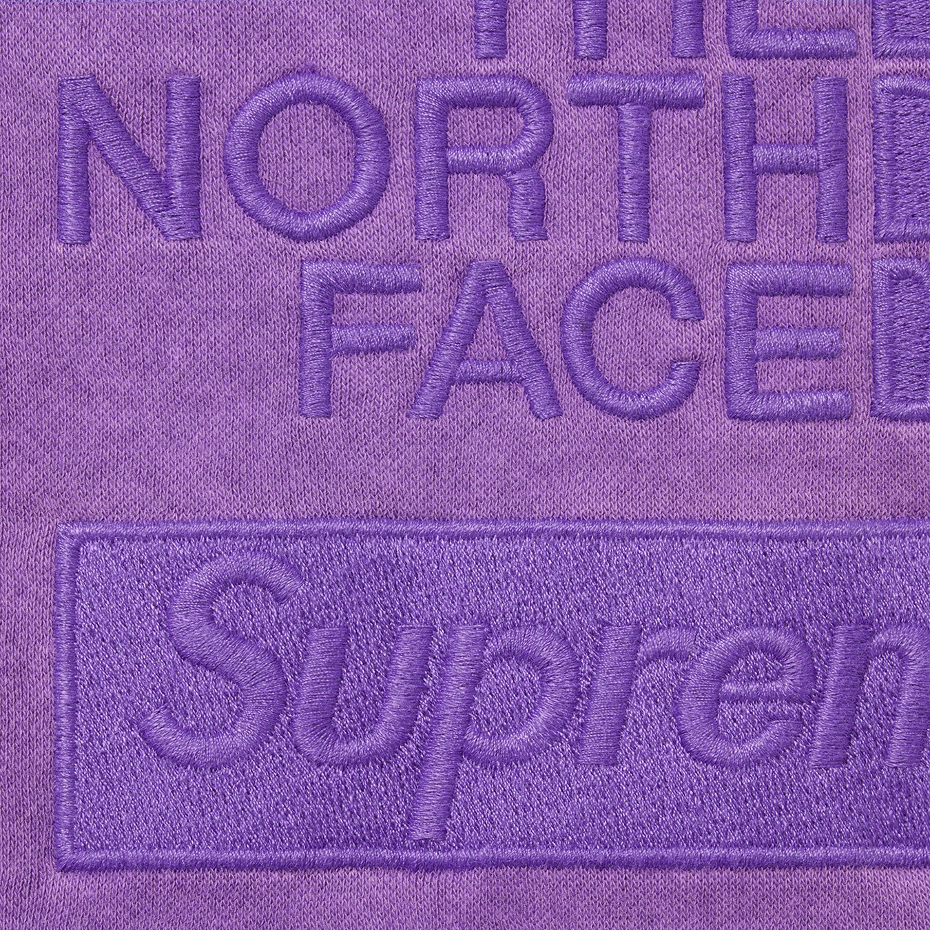 Supreme FW22 Week13 Supreme Pigment Printed Hooded Sweatshirt