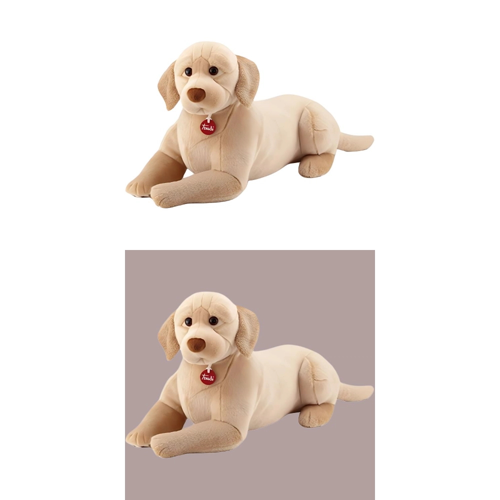 TRUDI