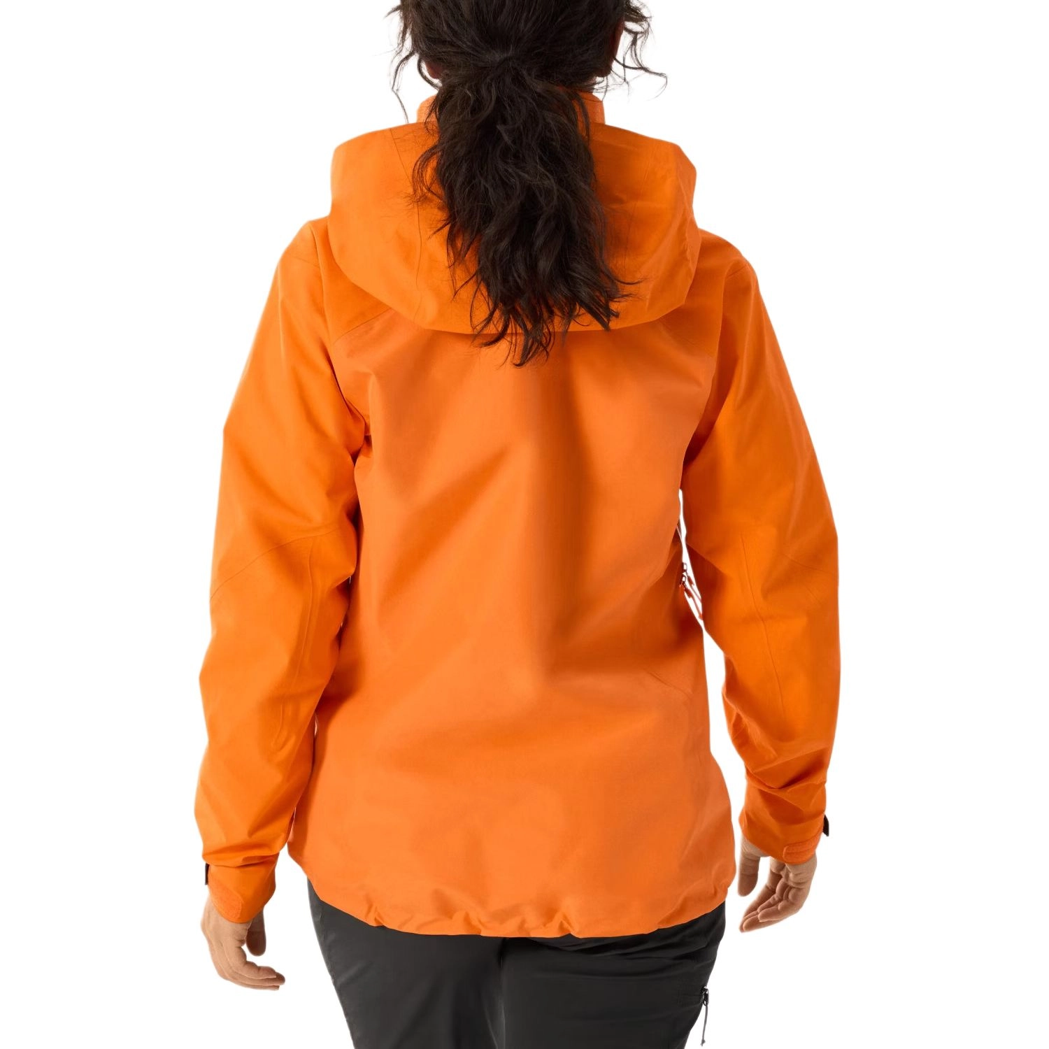 Arcteryx Beta Beta Ar Gore-Tex Logo