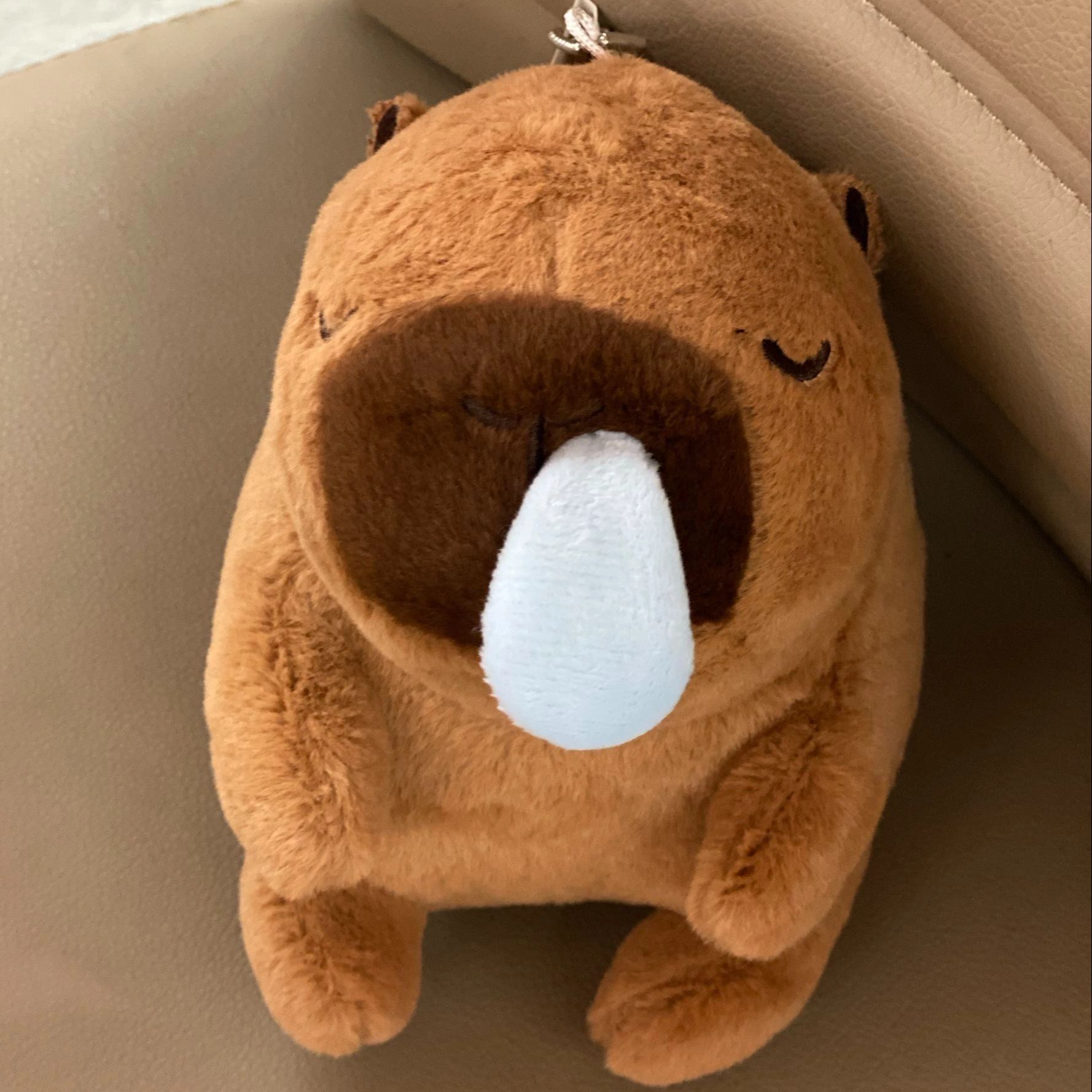 8cm