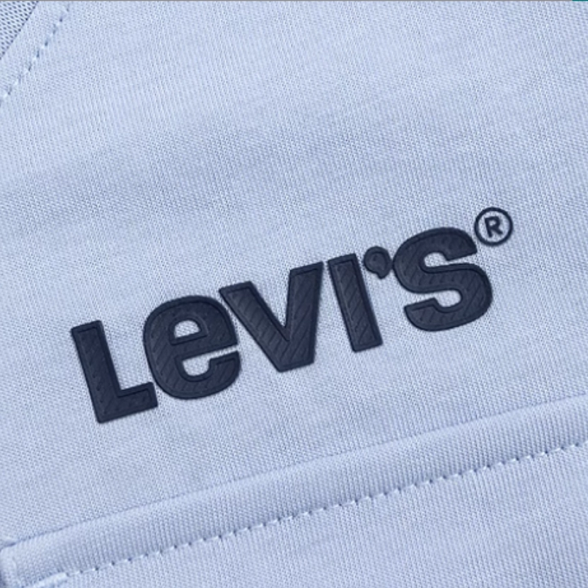 levisT SS25 ICON