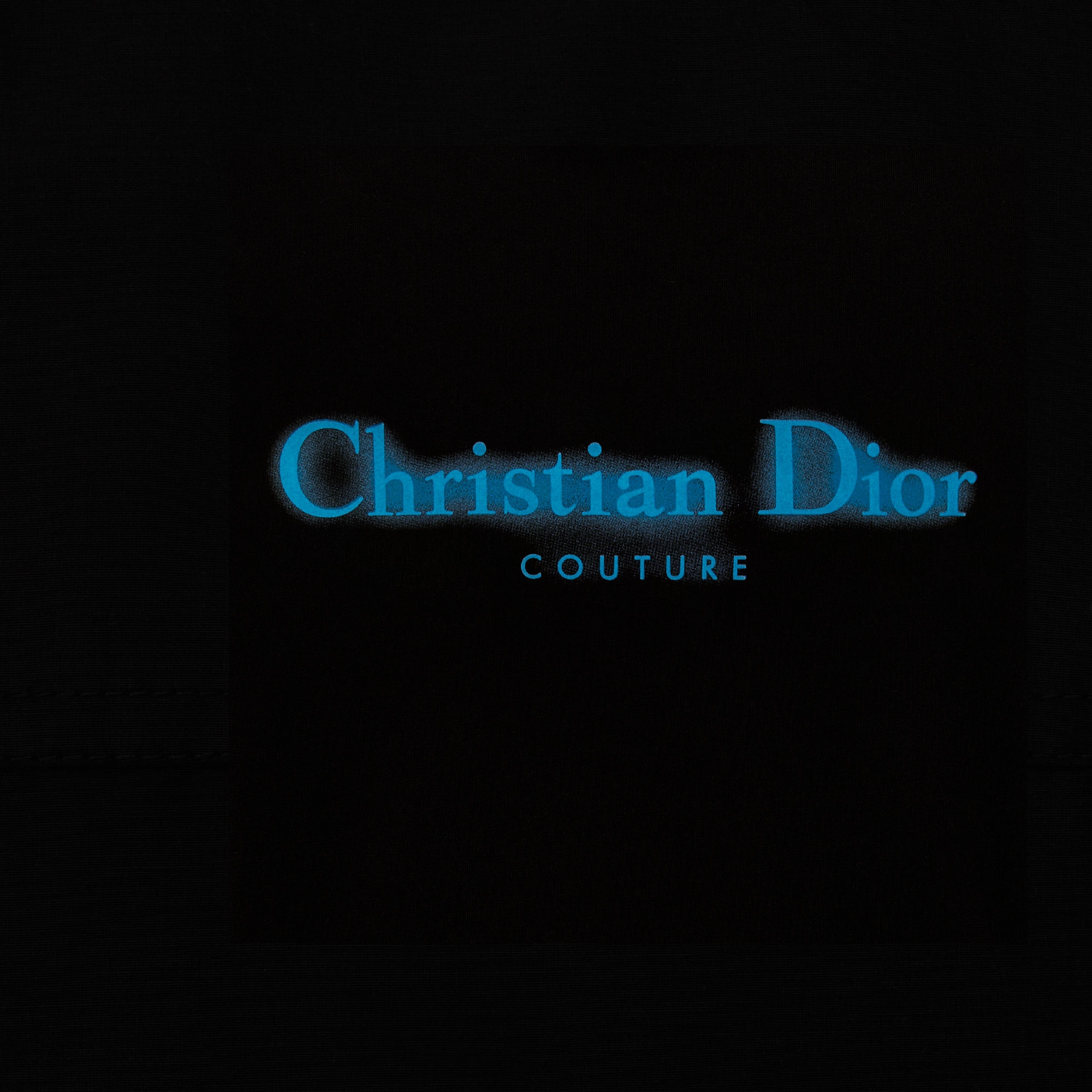 DIOR FW24 Logo