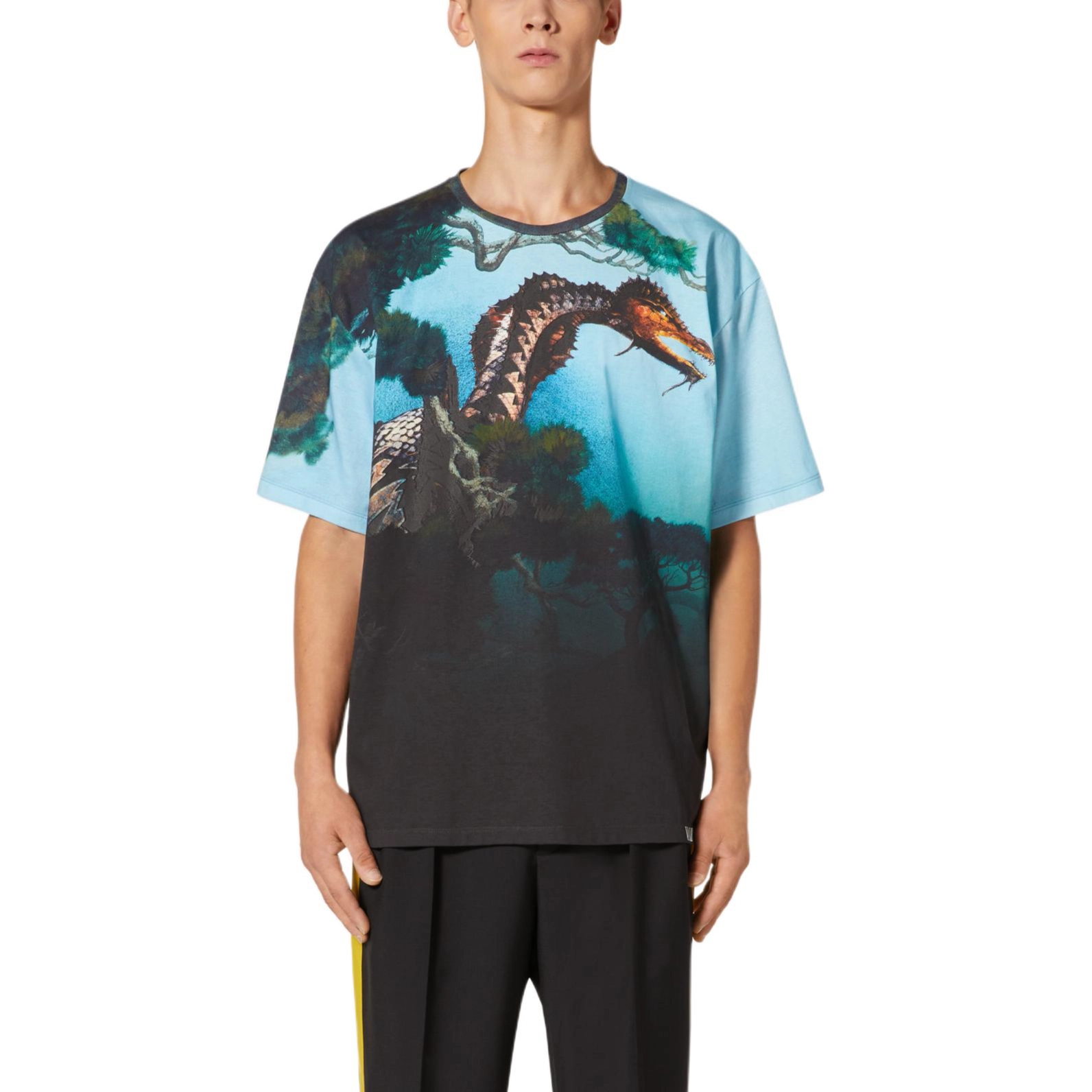 Valentino T