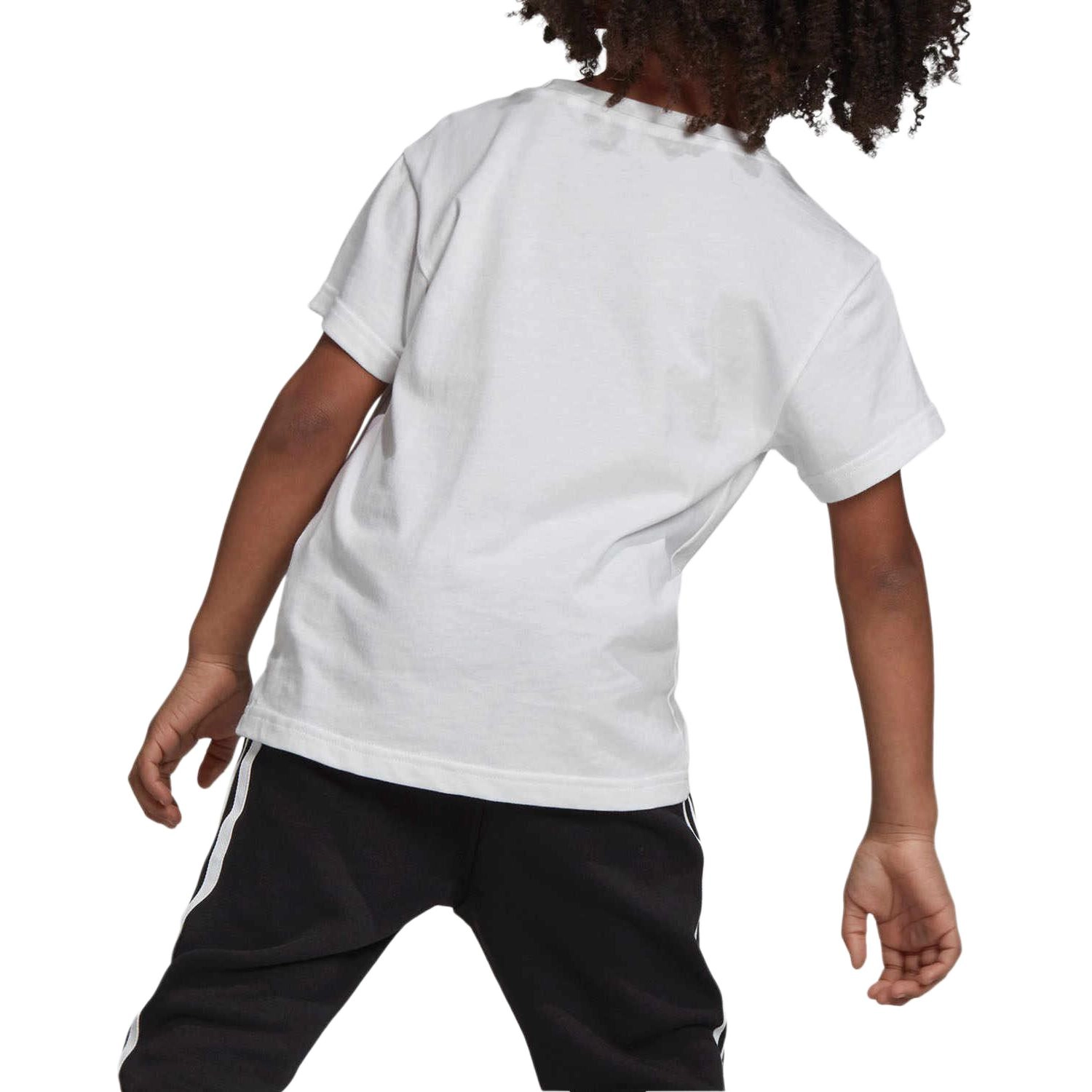 adidas originals TREFOIL TEE T