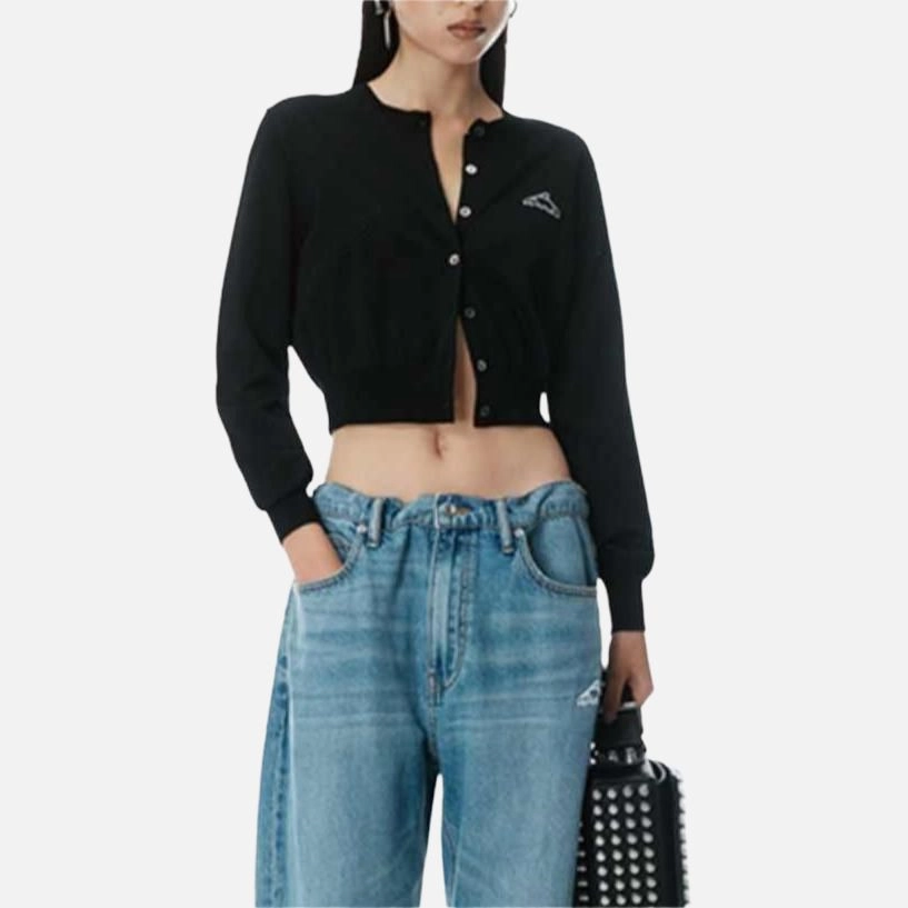 alexander wang SS25
