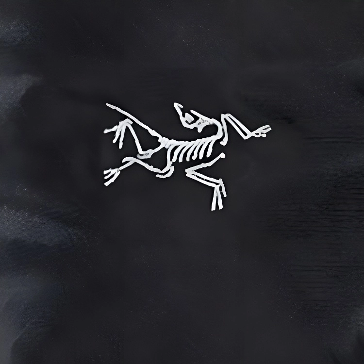 Arcteryx ION CHALK