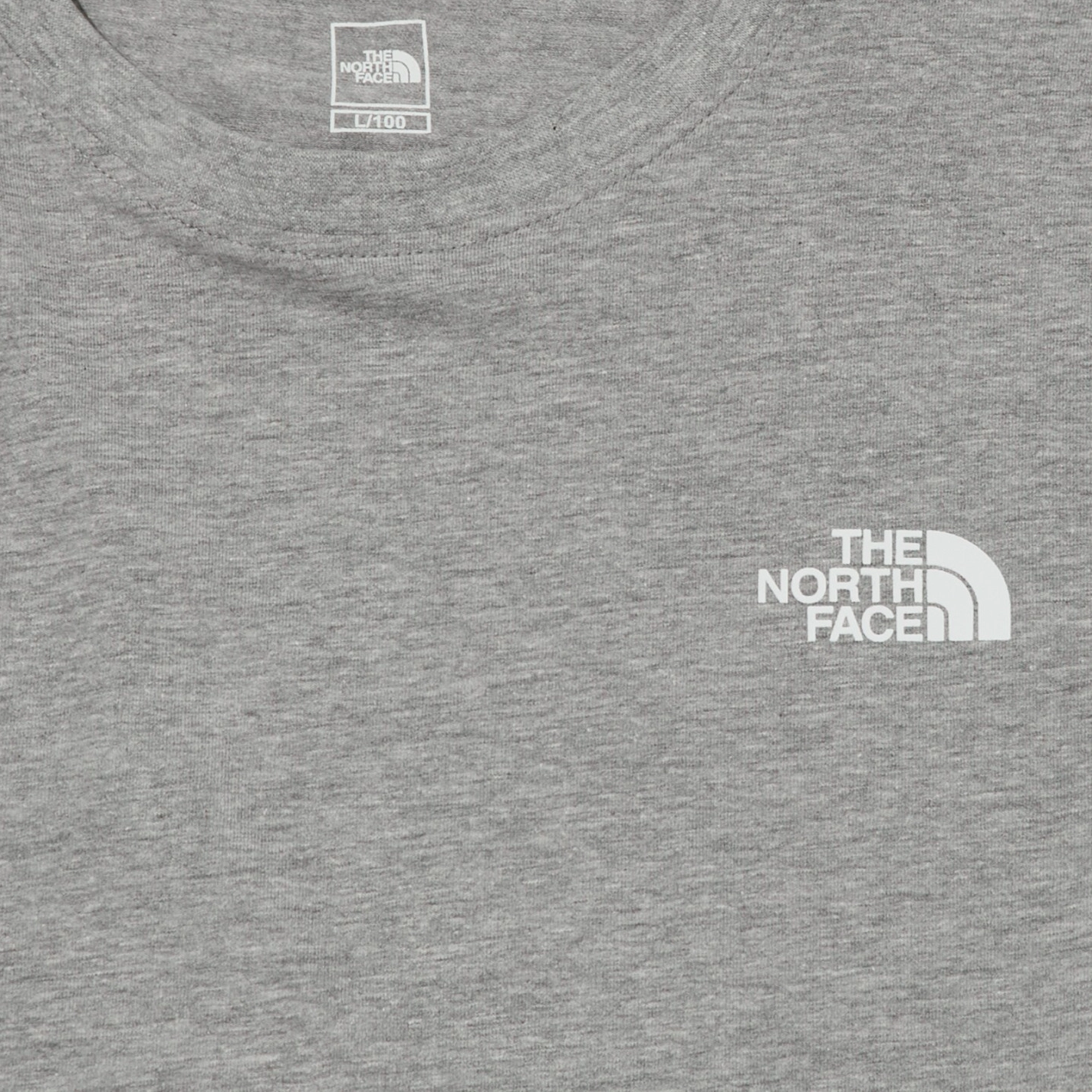 THE NORTH FACE Cotton Stretch Ss Rtee LogoT