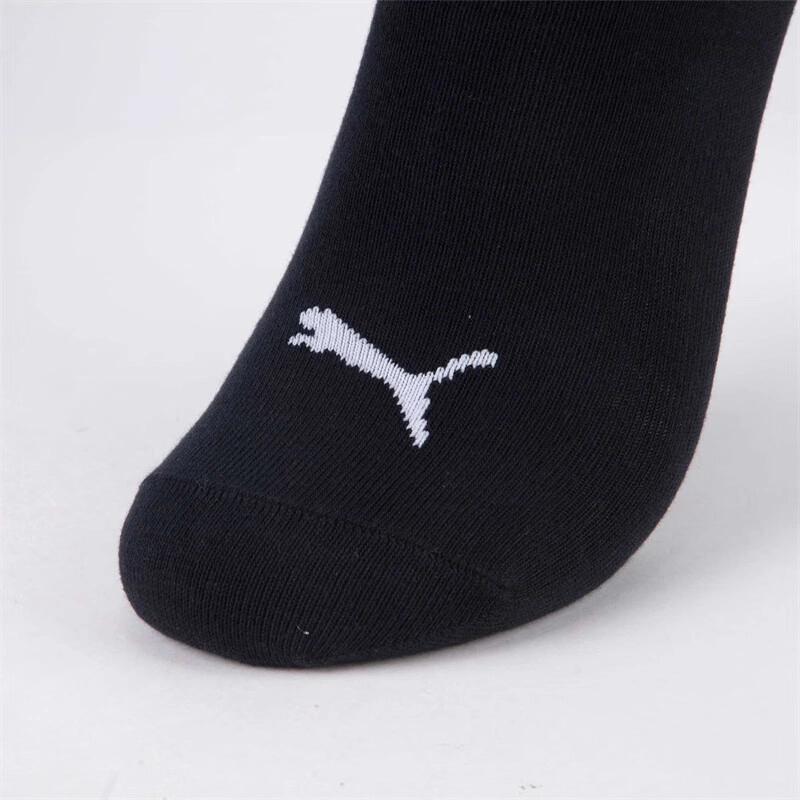 PUMA 1