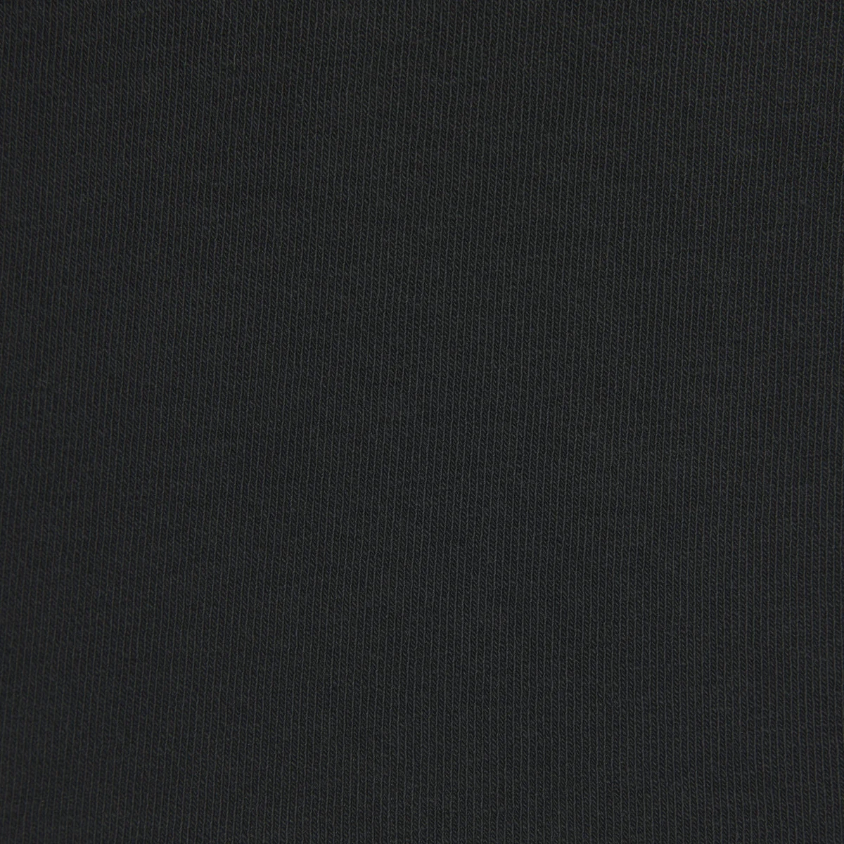 SKIMS NEW VINTAGE CROPPED LONG SLEEVE T-SHIRT T ONYX