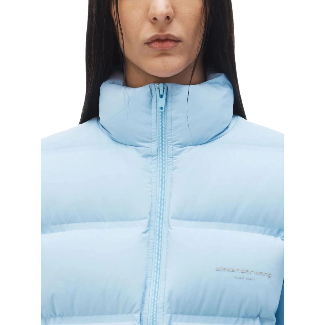 alexander wang FW24 logo