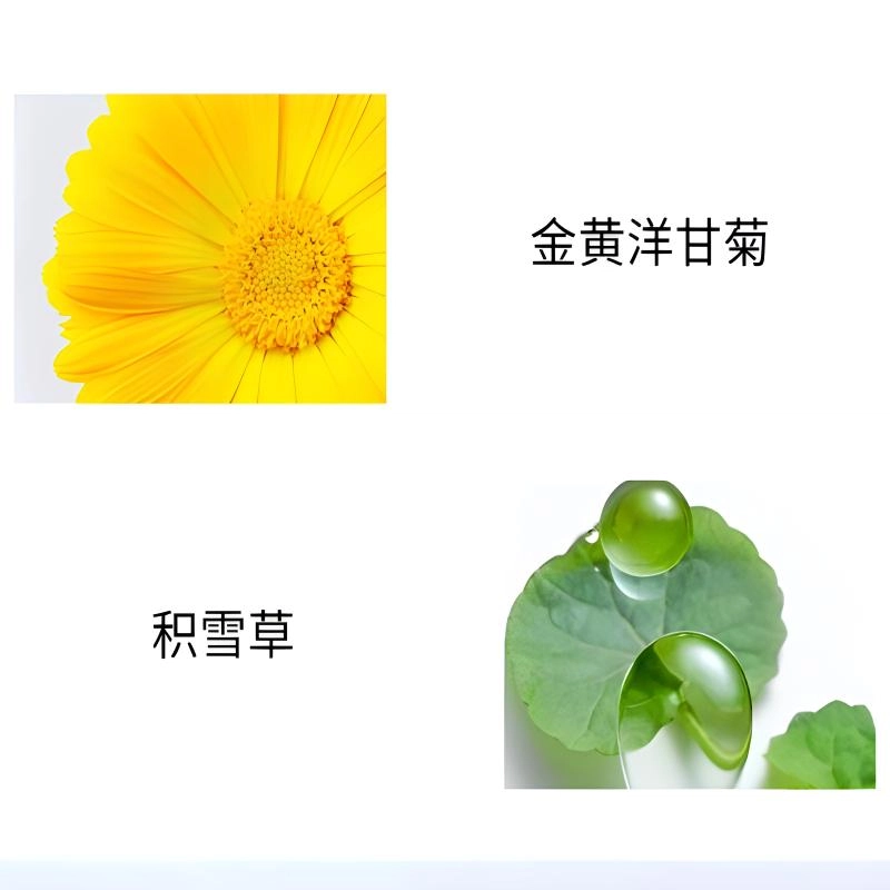 300ml
