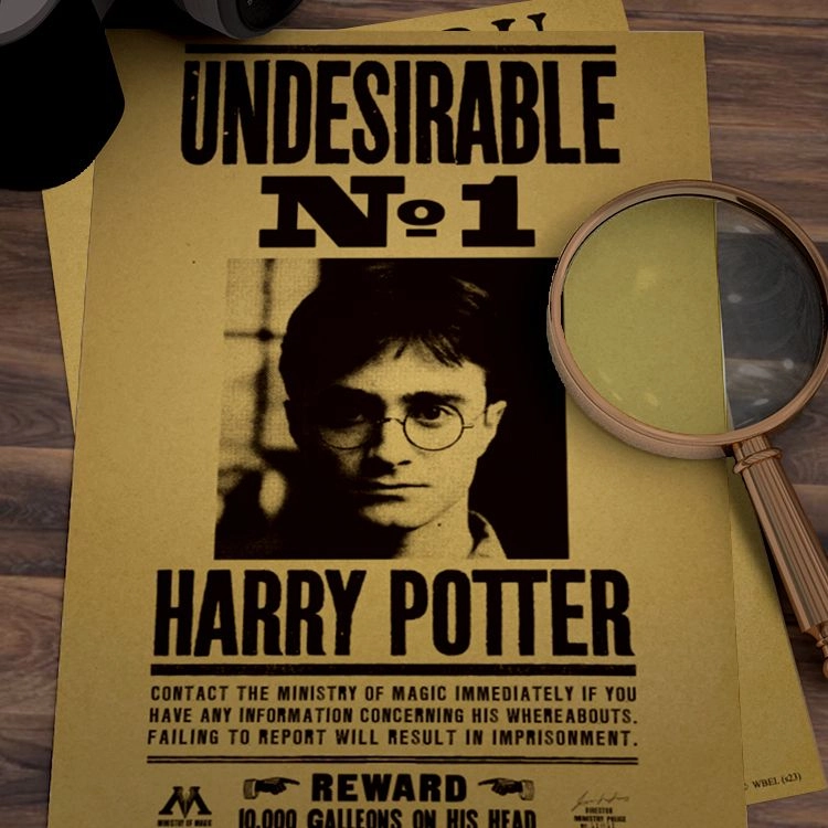 HARRY POTTER 30cmX43cm
