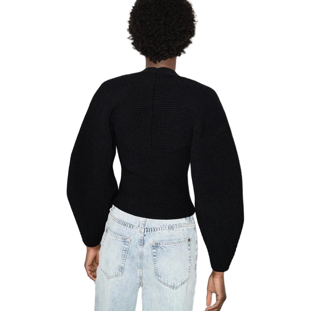 alexander wang