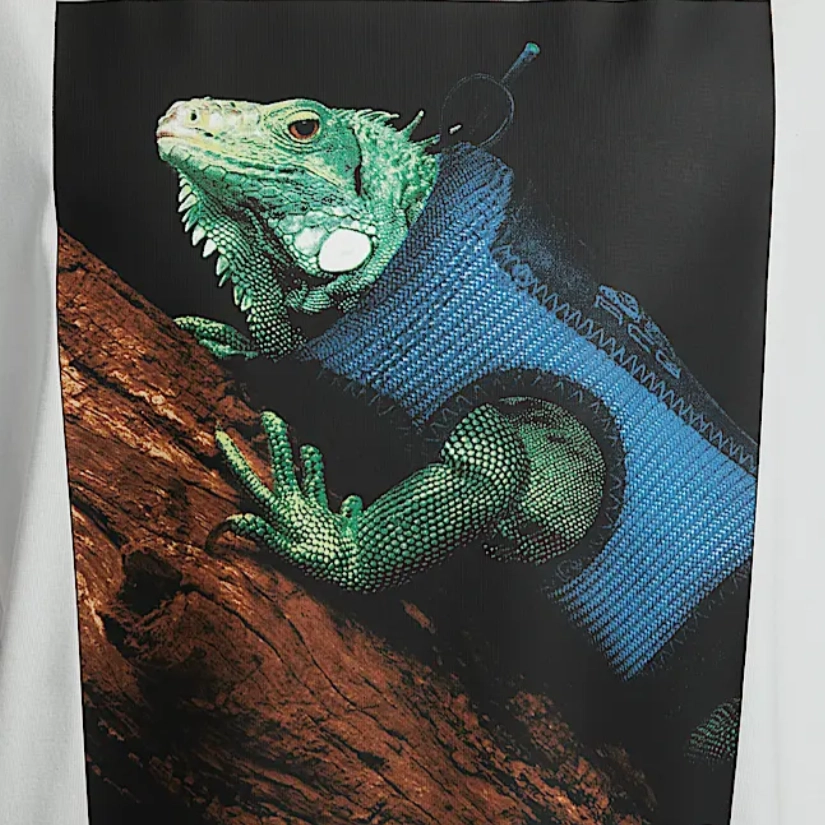 Nike ACG DRI-FIT SS25 T