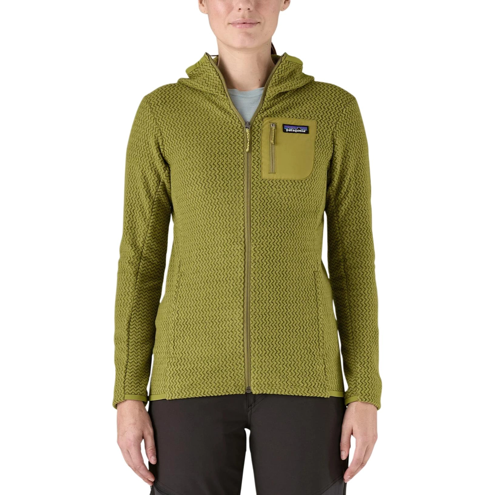 patagonia R1 Air Logo