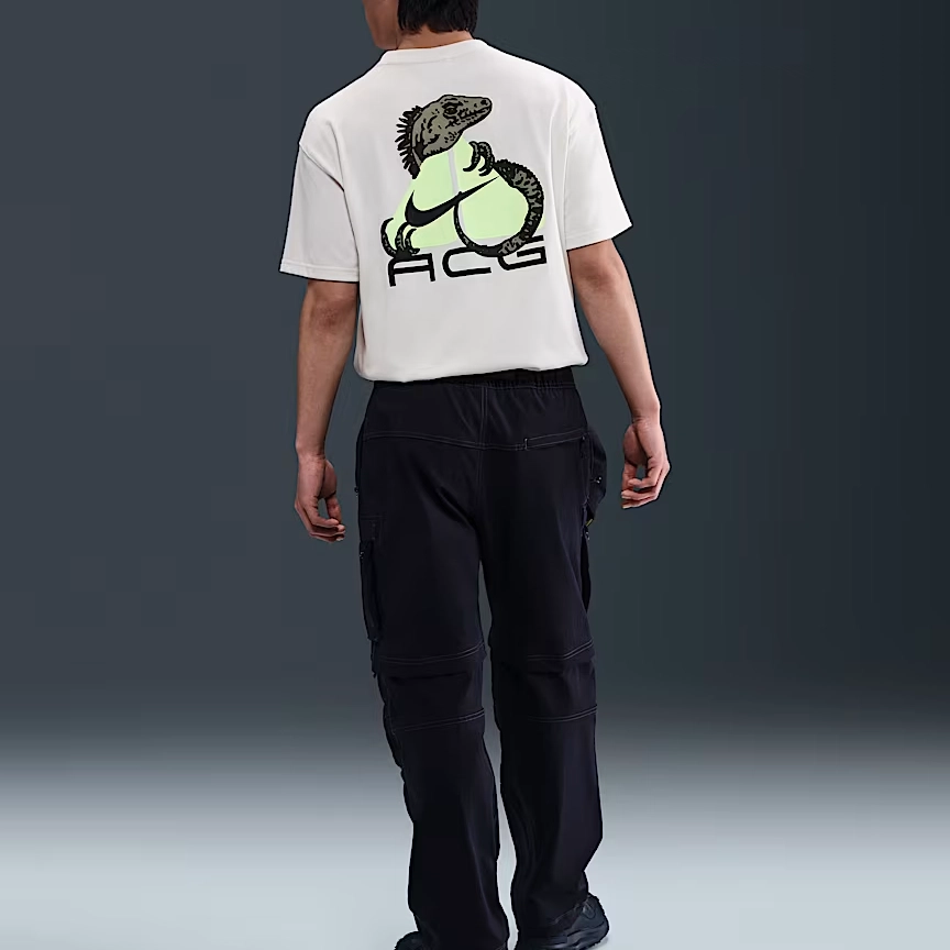 Nike Dri-Fit ACG T