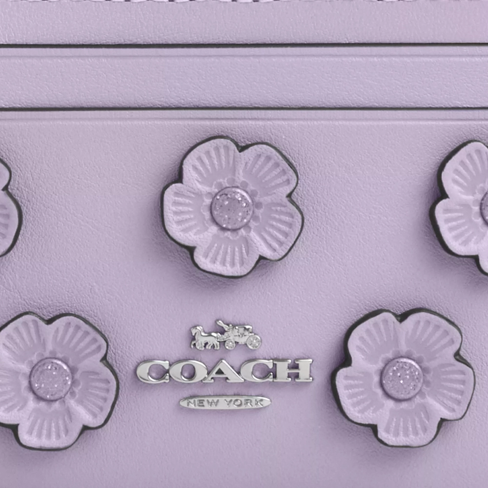 COACH Skinny Id Case 11