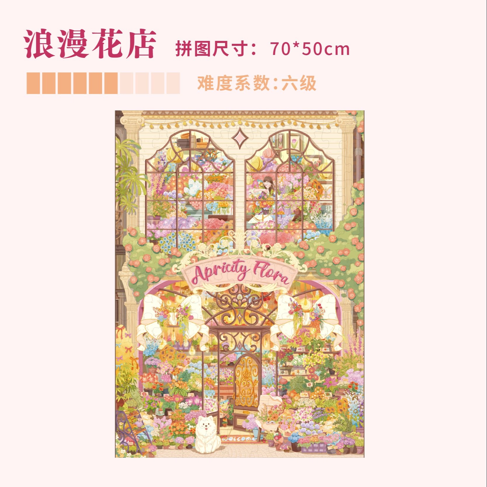DREAM FRIENDS 1000pcs