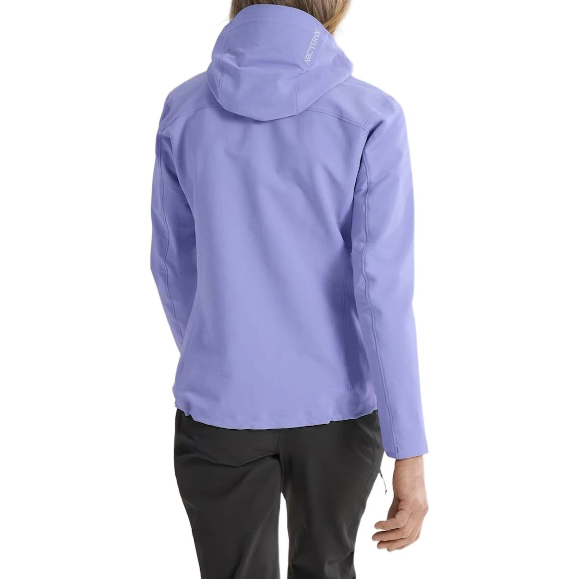 Arcteryx GAMMA gamma hoody