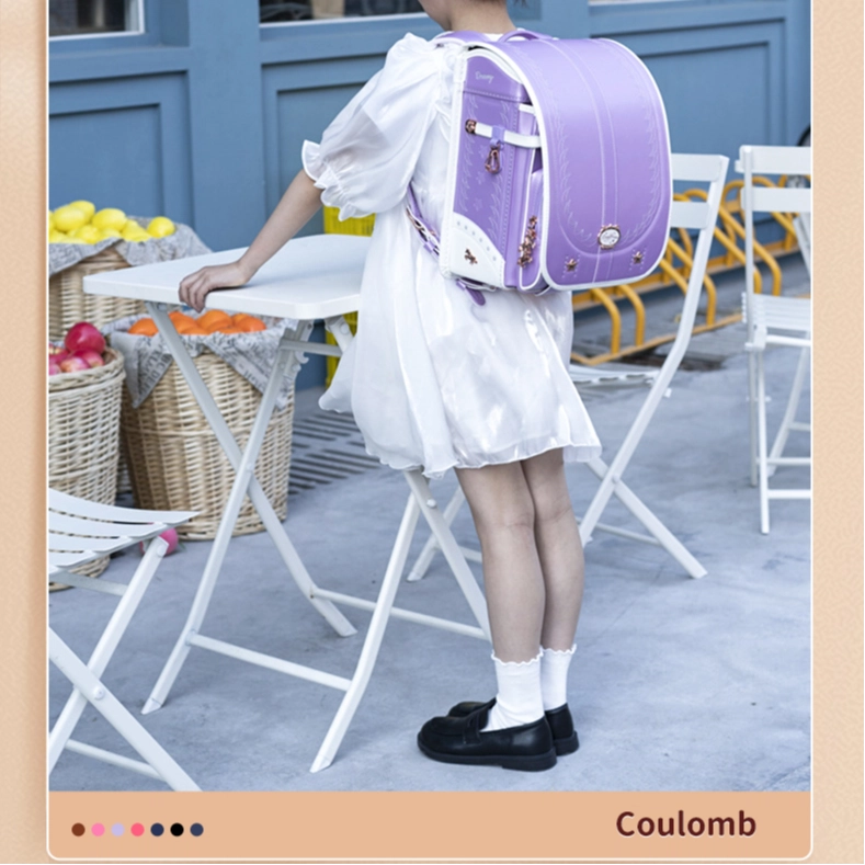 coulomb 1-6 19