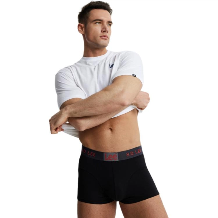 Lee 4