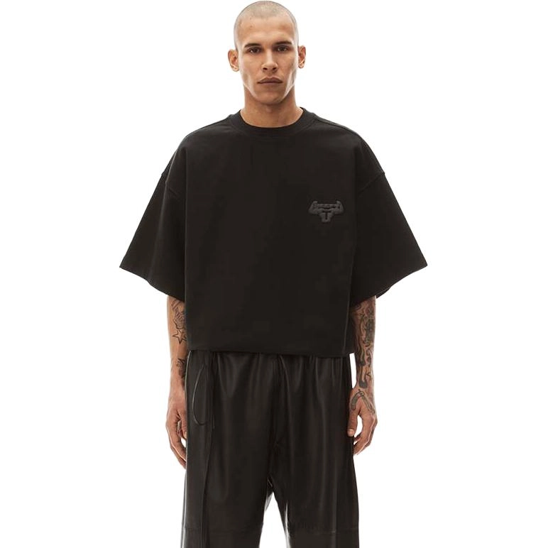 alexander wang T