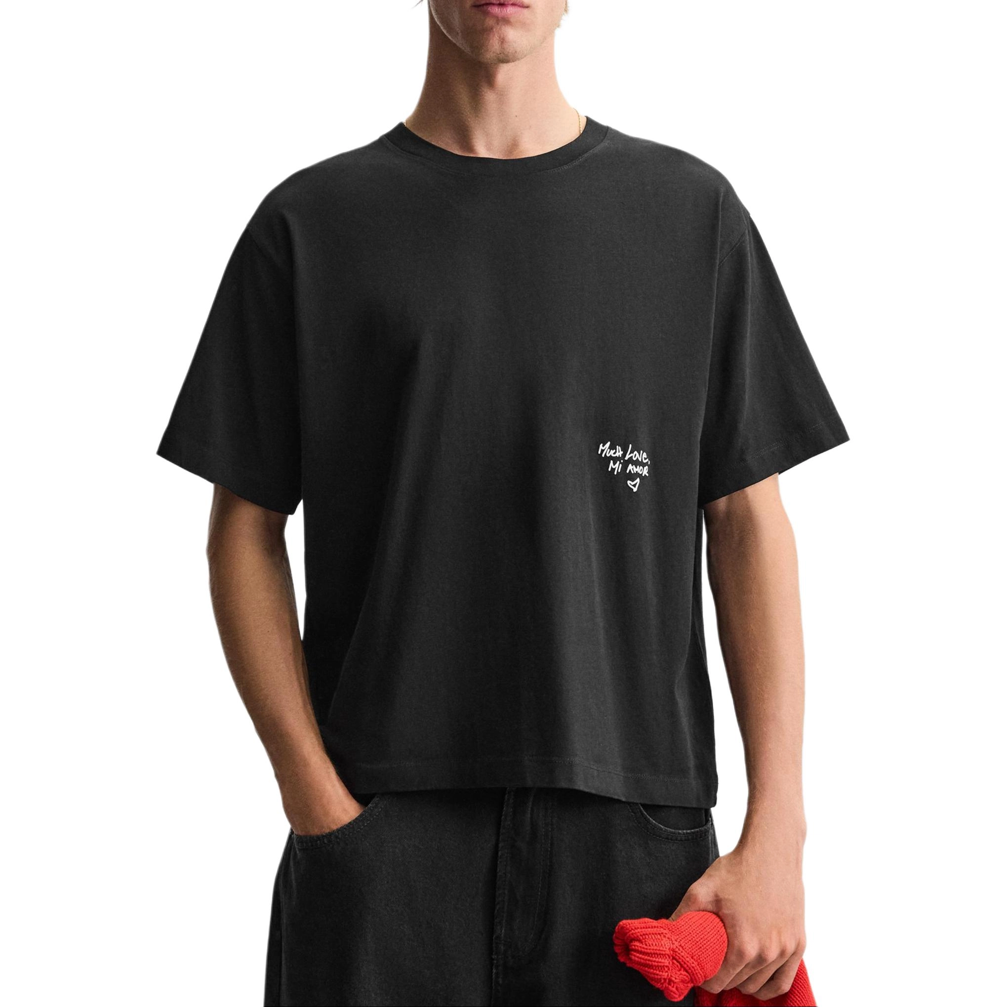 ZARA T