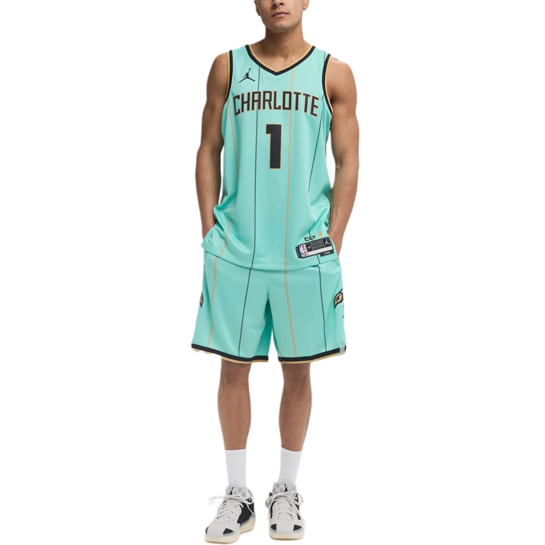 Jordan x NBA Charlotte Hornets