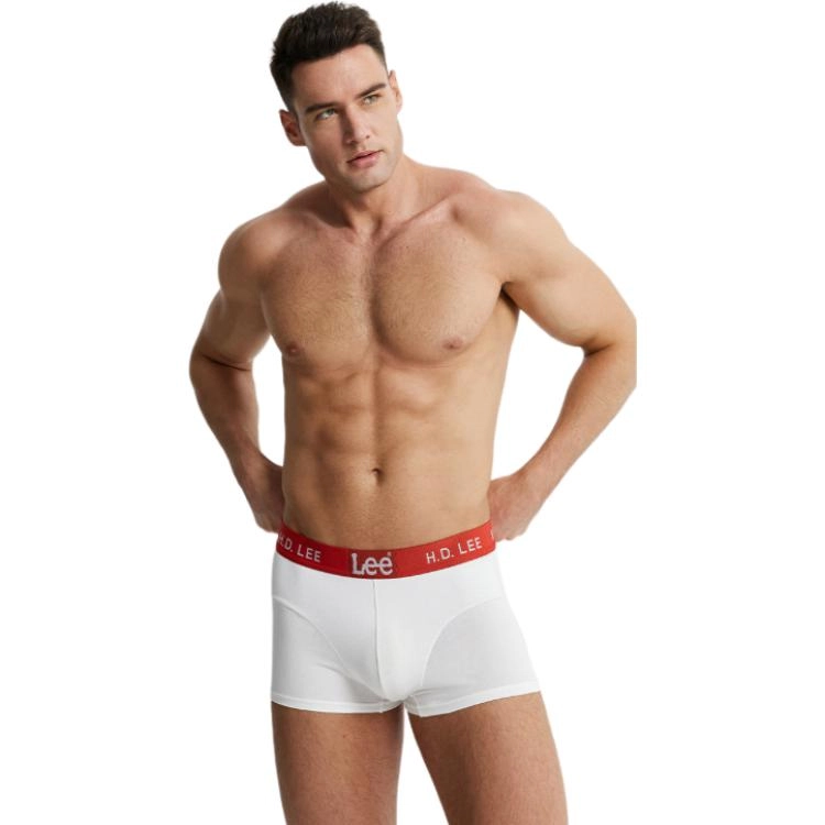 Lee 4