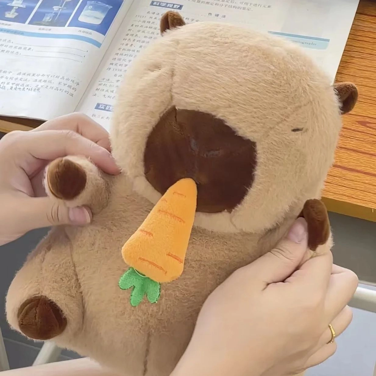 27cm