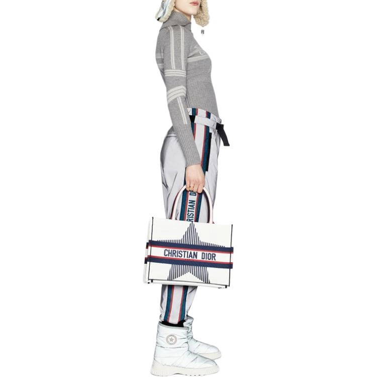 DIOR ALPS FW22