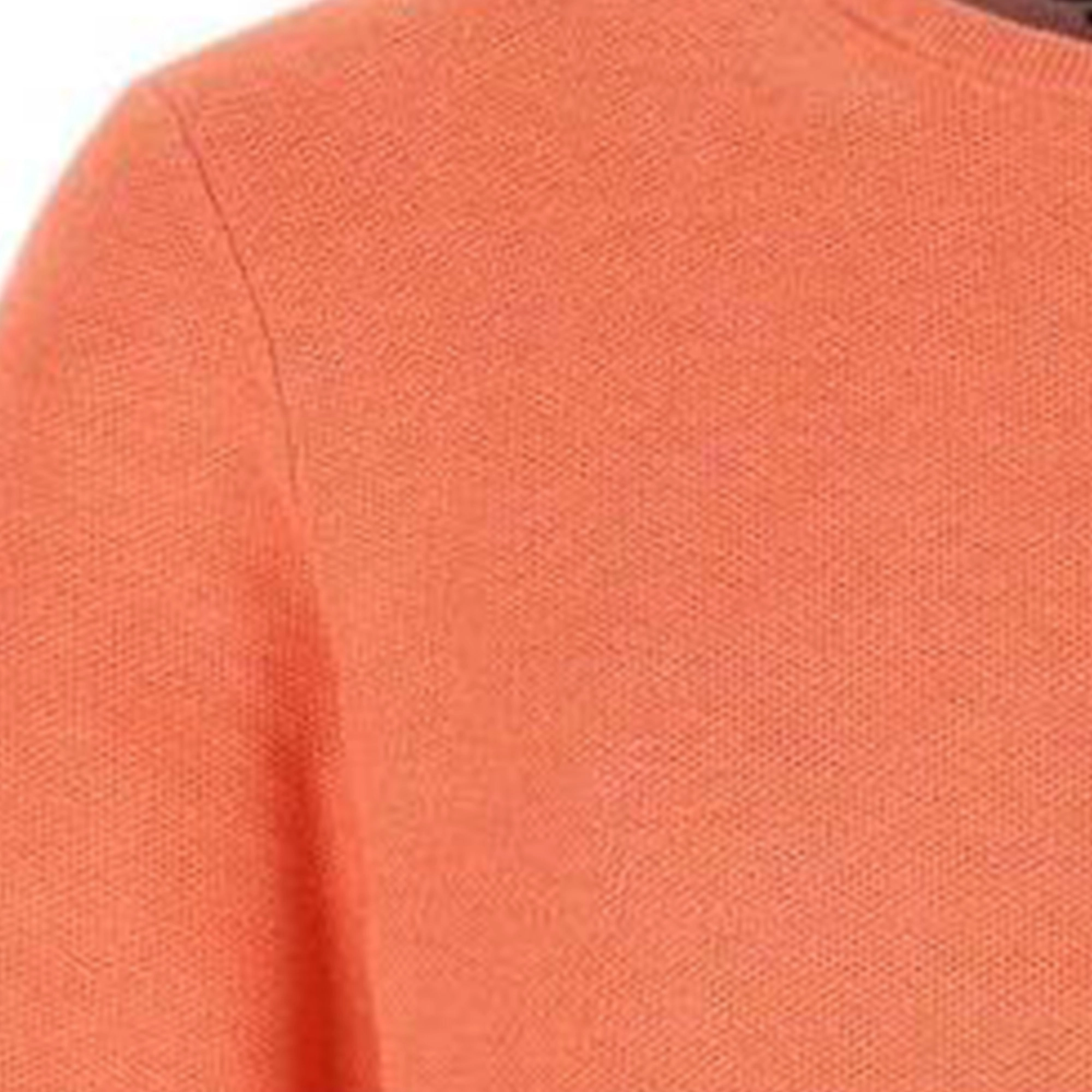 Polo Ralph Lauren Logo
