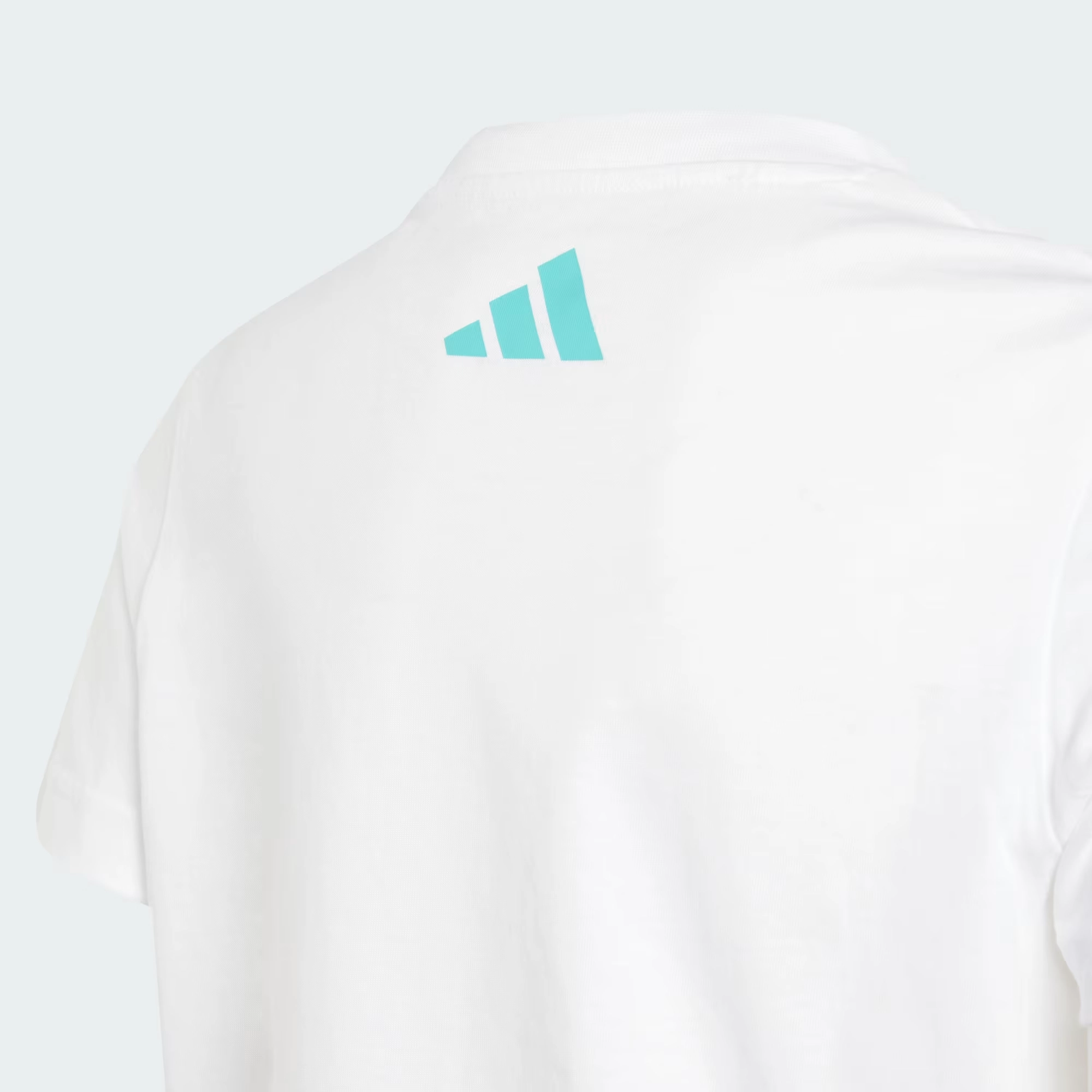 adidas x MERCEDES-AMG PETRONAS F1 T DNA