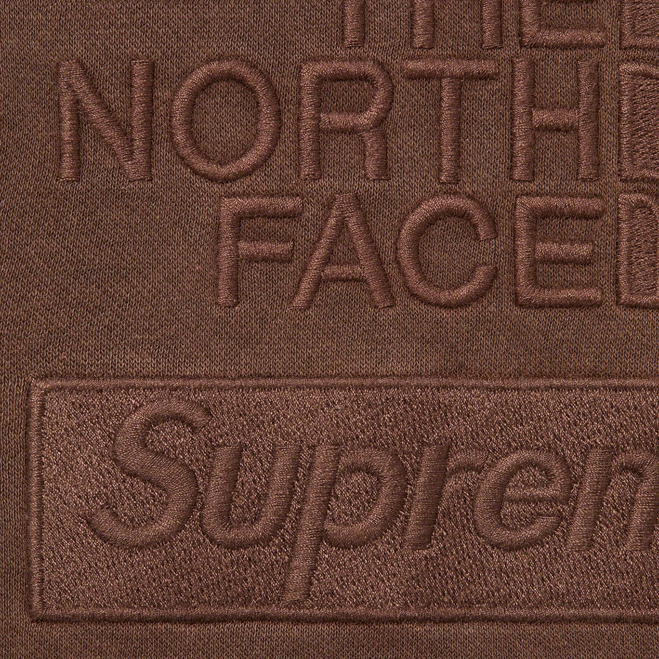 Supreme FW22 Week13 Supreme Pigment Printed Hooded Sweatshirt