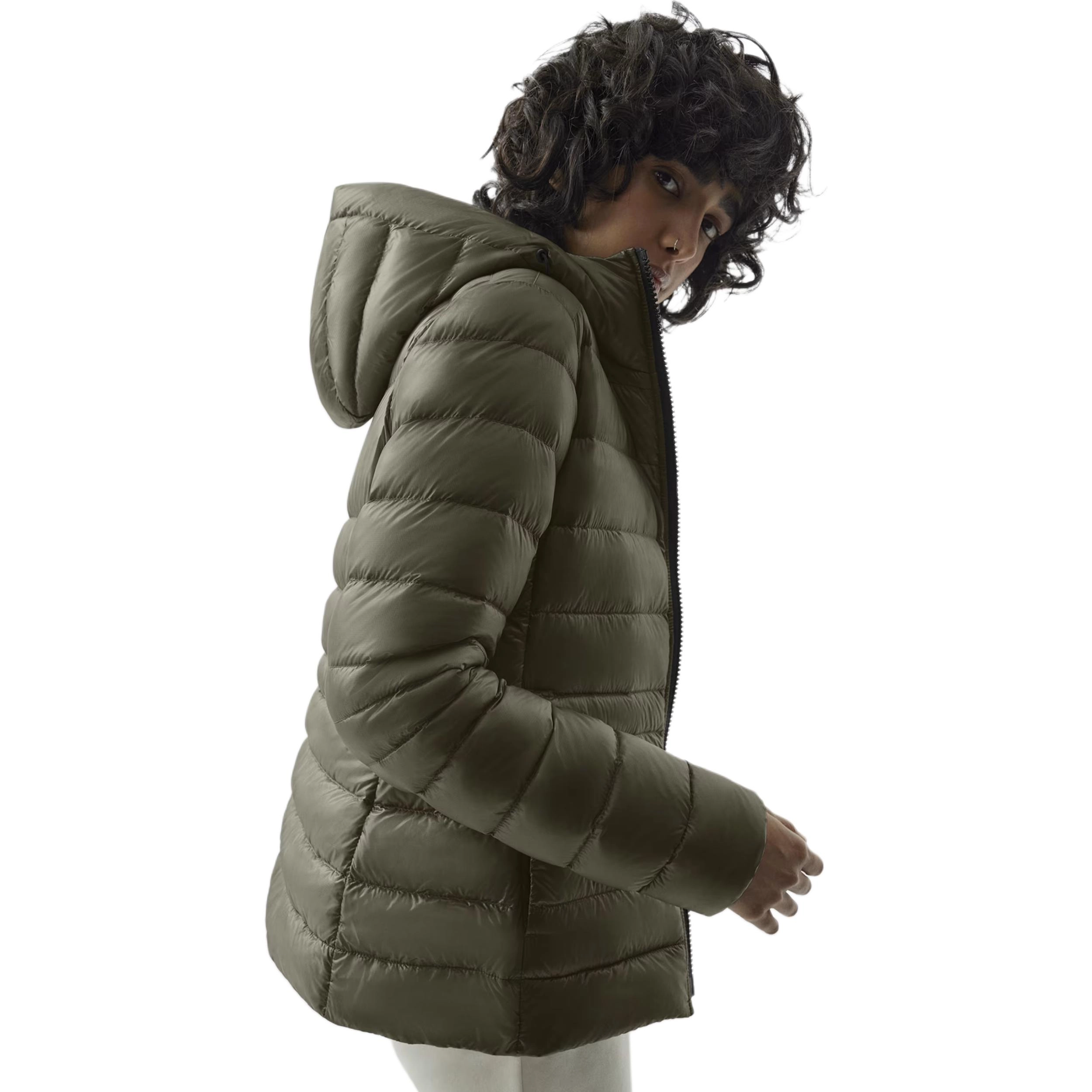Canada Goose