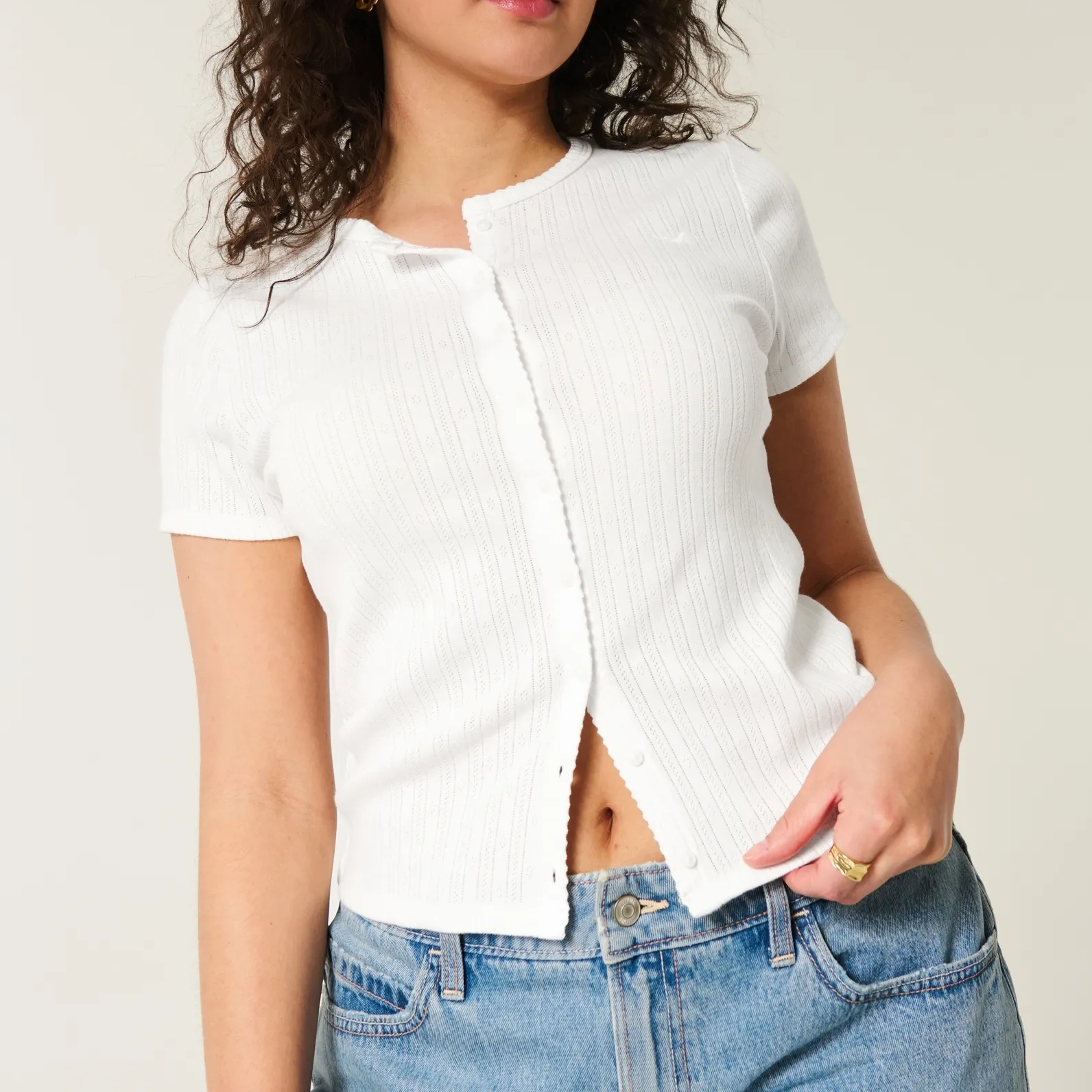 Hollister logo T