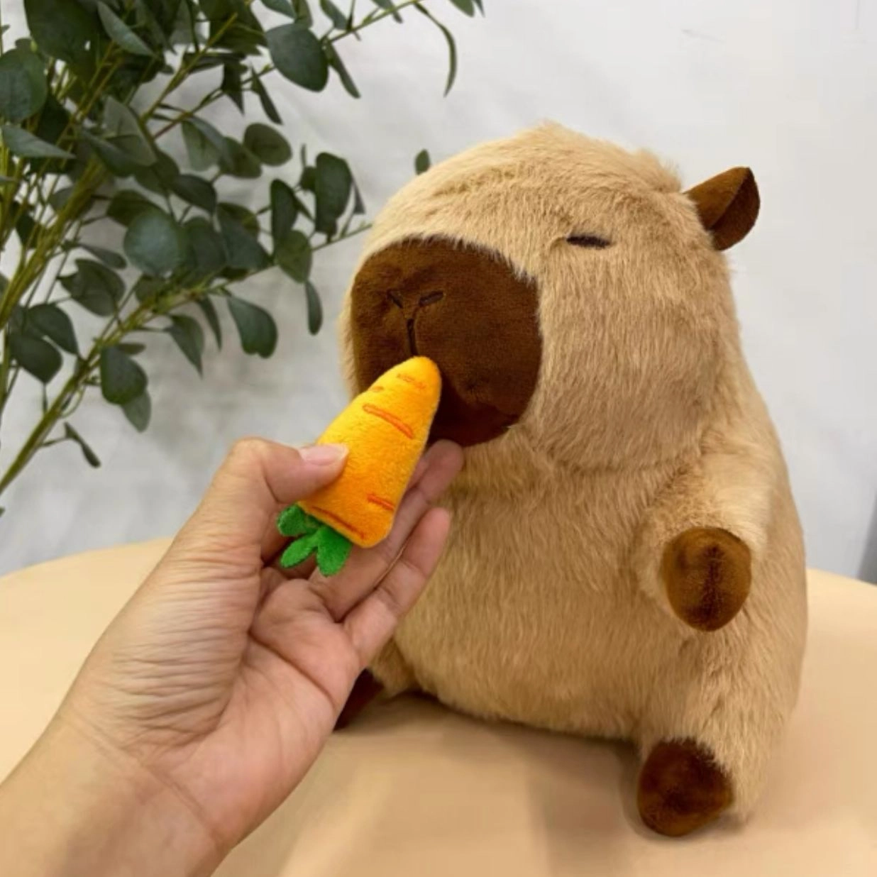 27cm