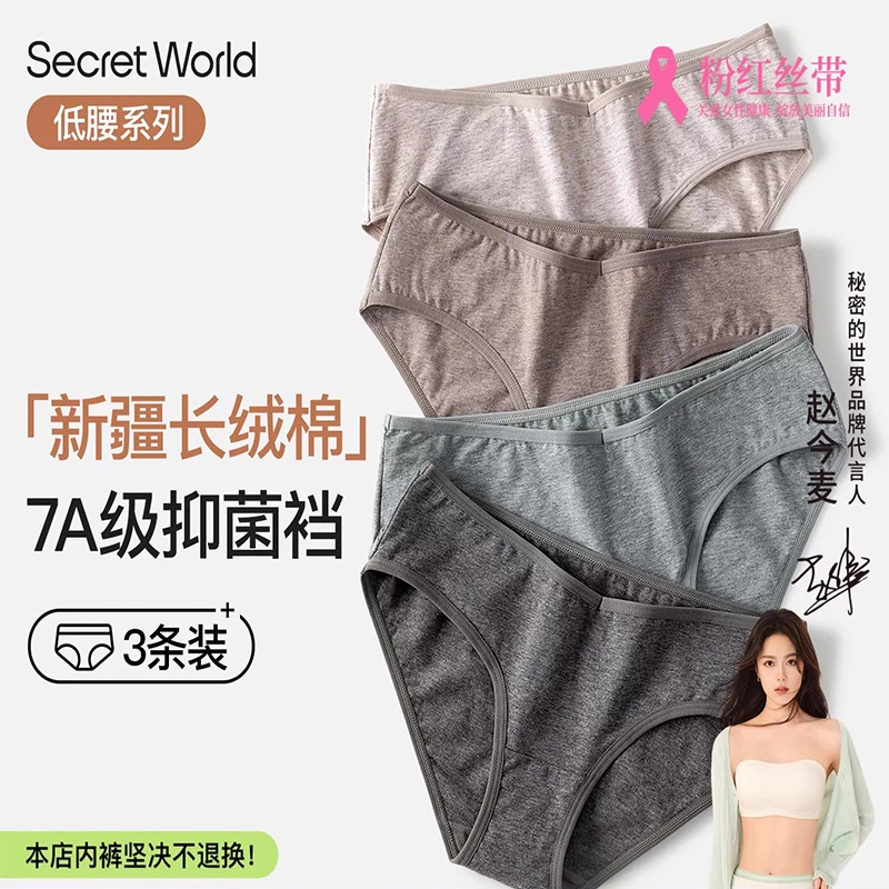 SecretWorld