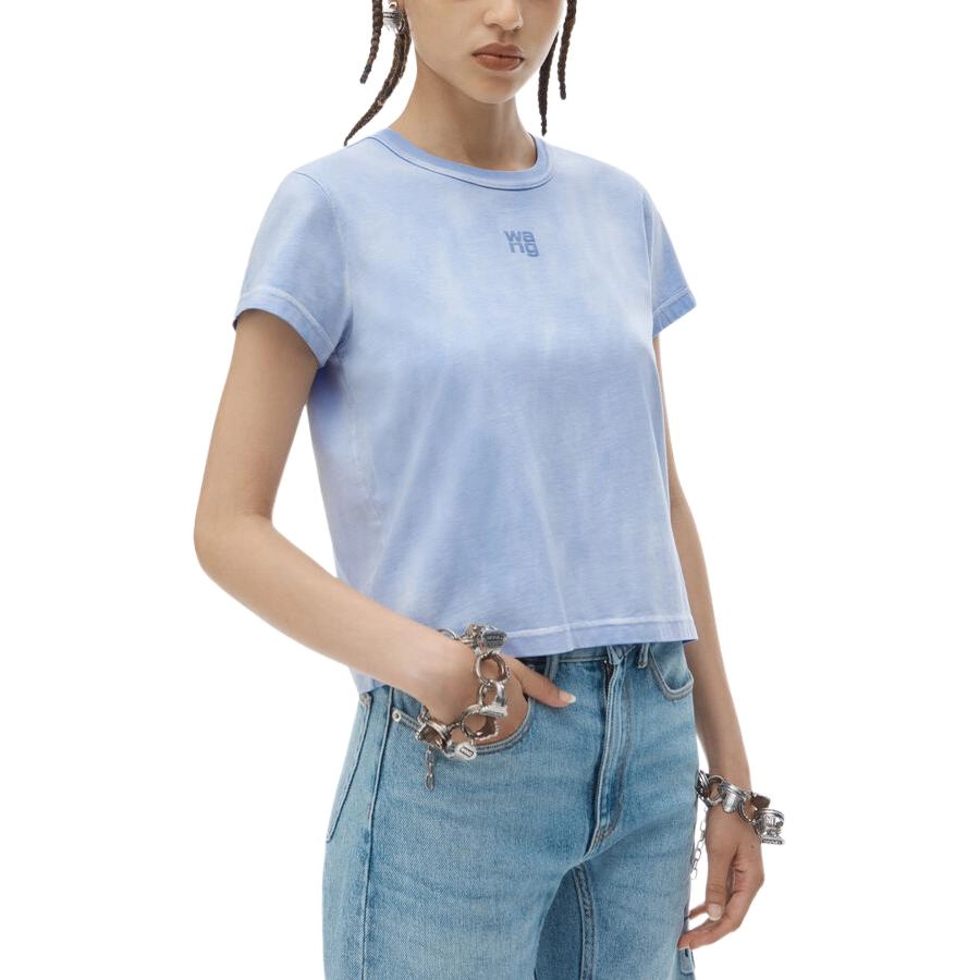 alexander wang FW24 T