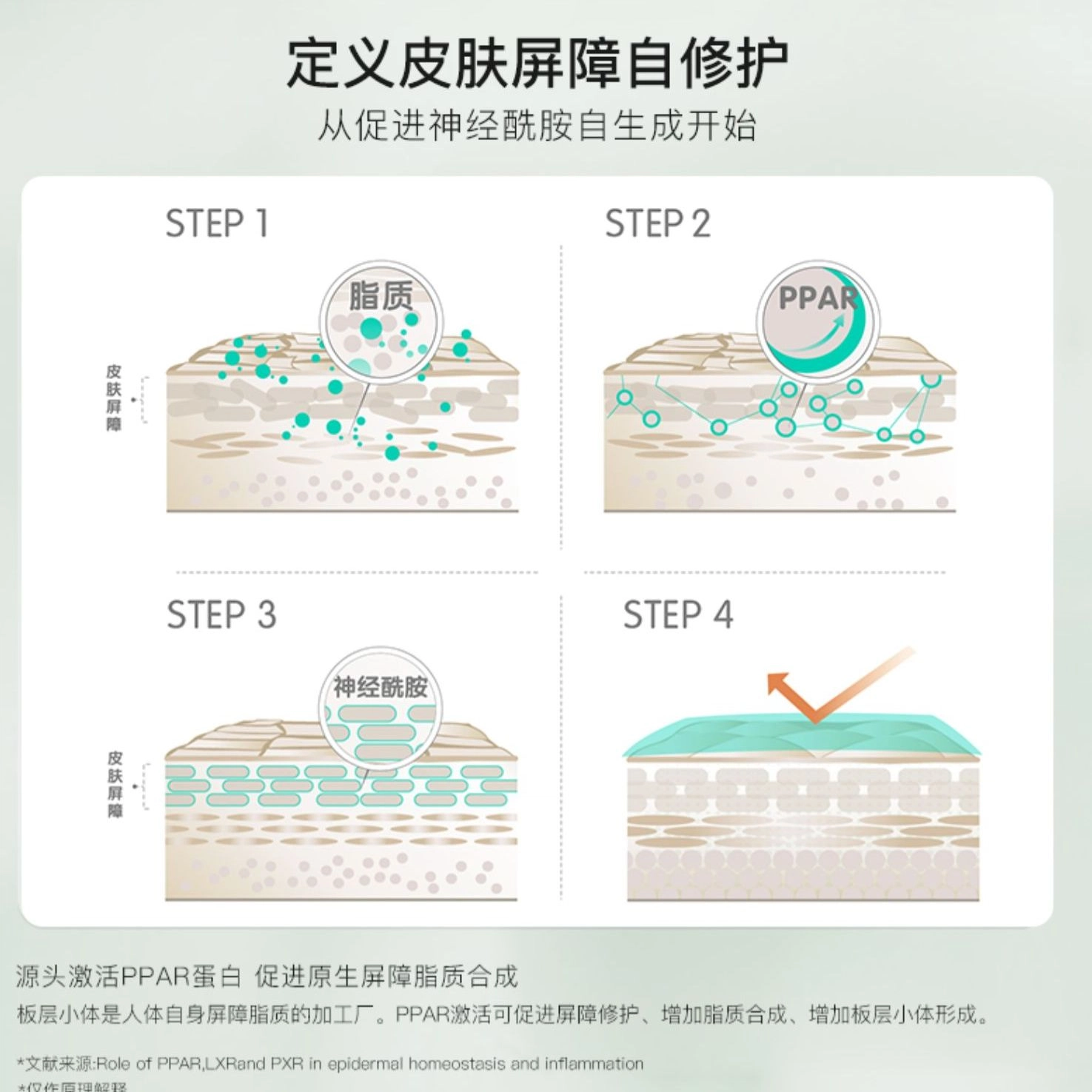 玉泽  皮肤屏障面霜 保湿修护 敏感肌