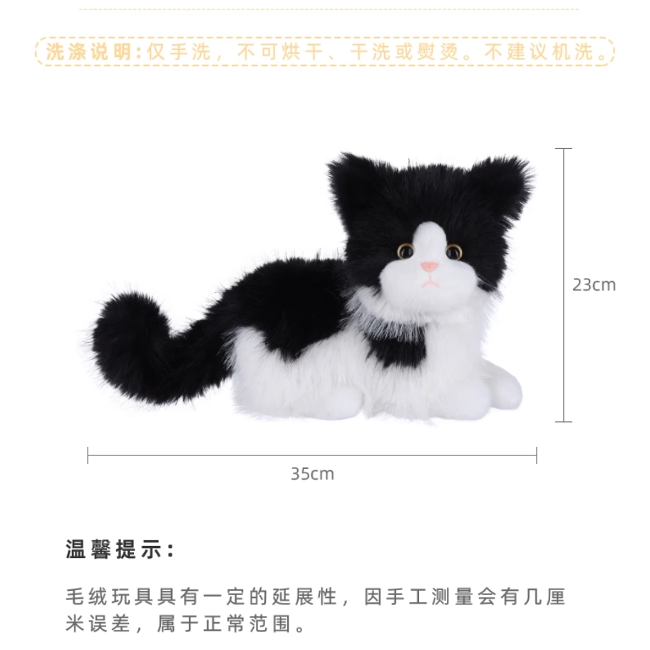 APRICOT LAMB 23cm