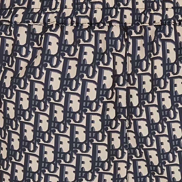 DIOR SS21 Oblique