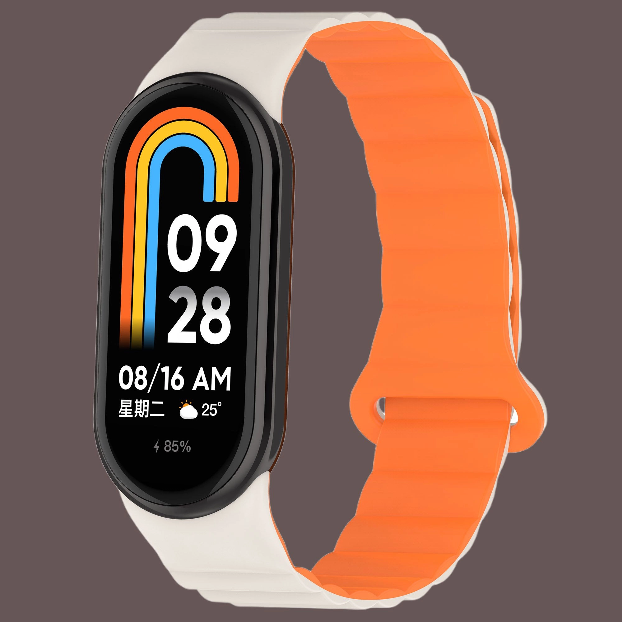IBOANN 8756