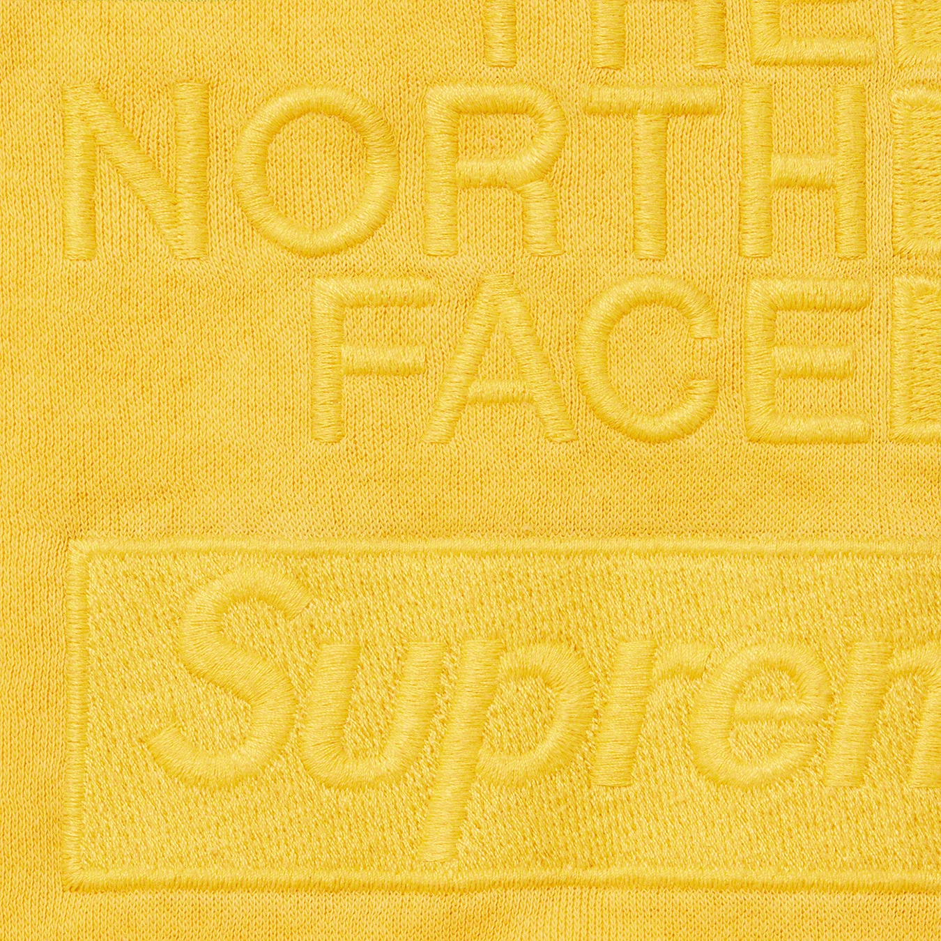 Supreme FW22 Week13 Supreme Pigment Printed Hooded Sweatshirt